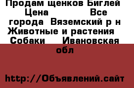 Продам щенков Биглей › Цена ­ 15 000 - Все города, Вяземский р-н Животные и растения » Собаки   . Ивановская обл.